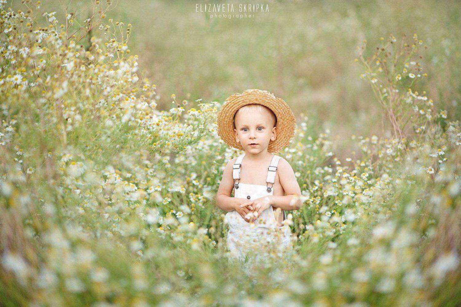 , Скрипка Елизавета