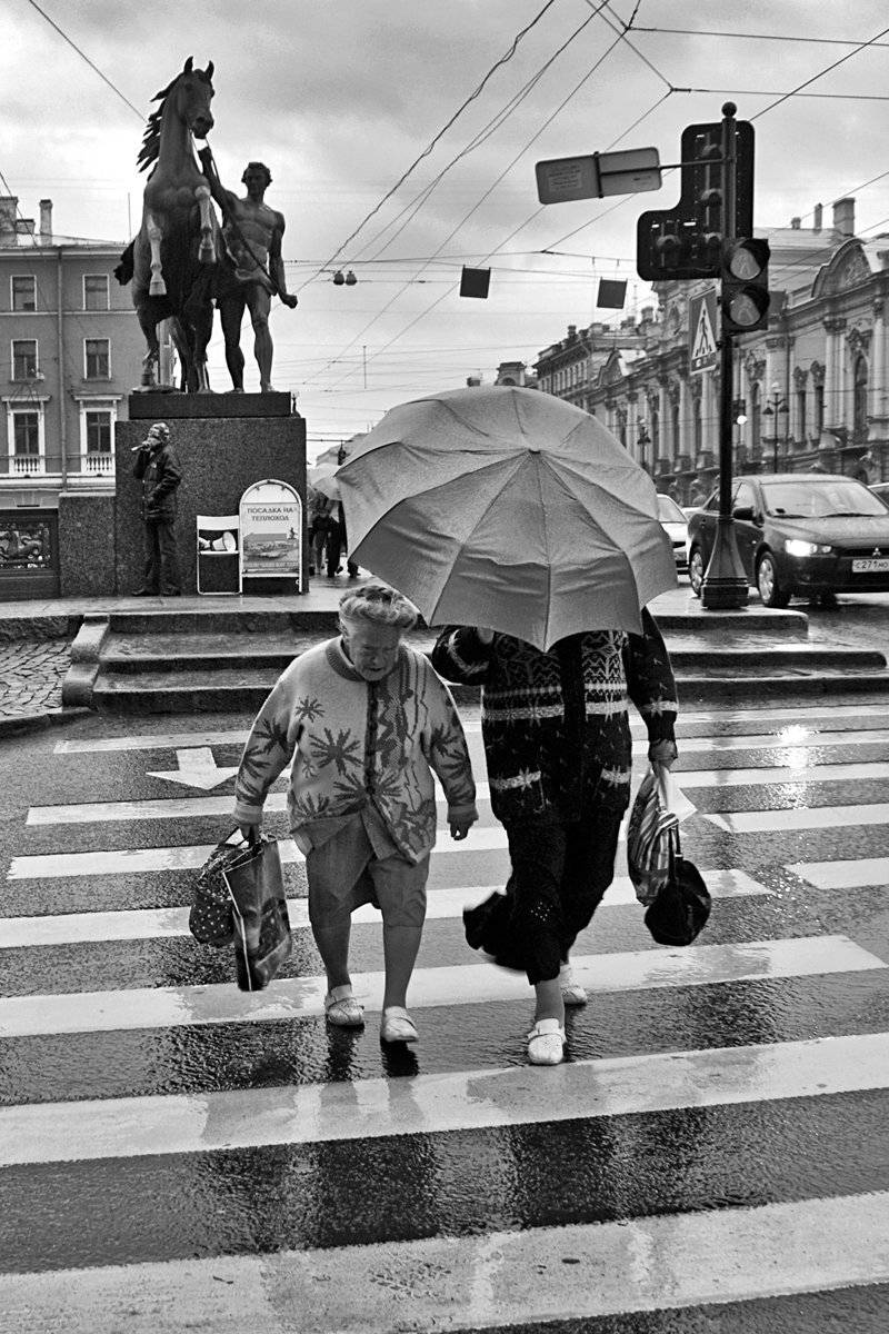 апатиты, город, петербург, осень, дождь, чб, кони, Николай Смоляк