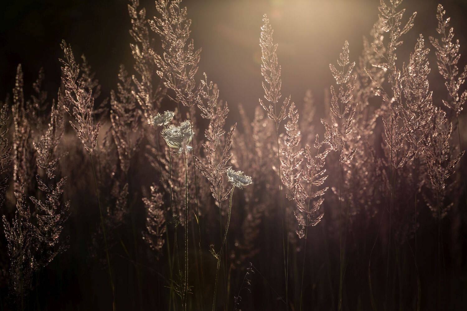 , Eglė Lugauskienė