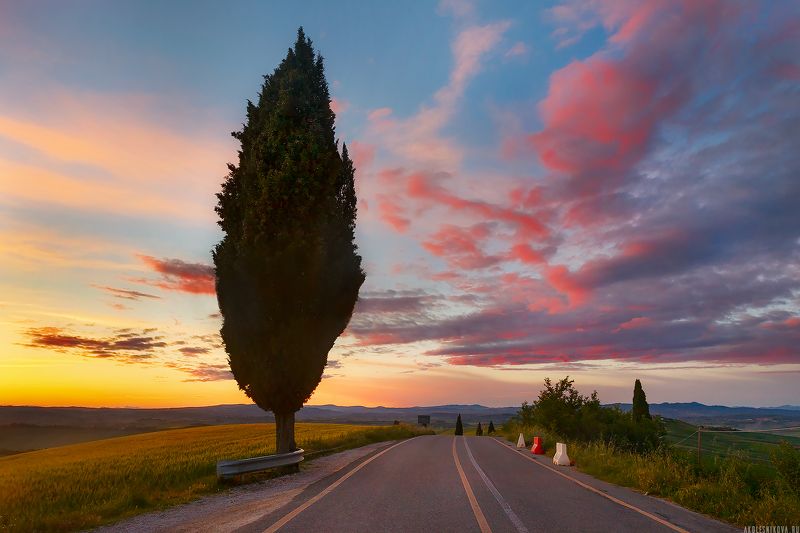 пейзаж, тоскана, италия, ландшафт, travel, landscape, tuscany, toskana, italy, nature Закат в Тоскане фото превью