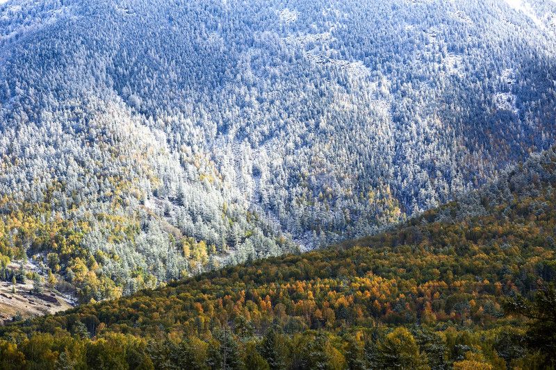 Altai, Kazakhstan фото превью