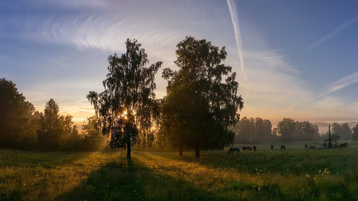 утро, рассвет, восход, туман, лучи, горы, кони, лошади, Леонид Максименко