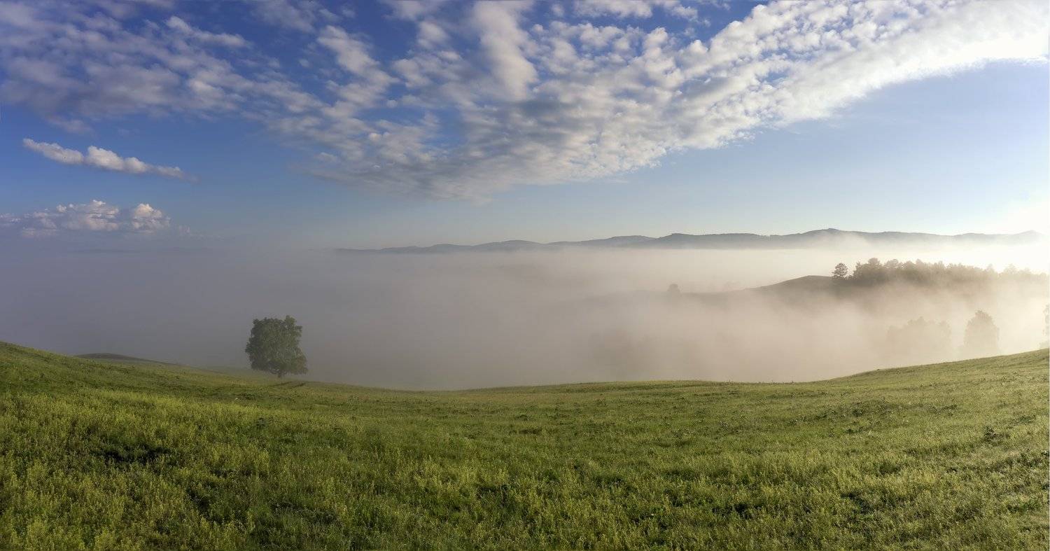утро, рассвет, восход, туман, лучи, горы, кони, лошади, Леонид Максименко