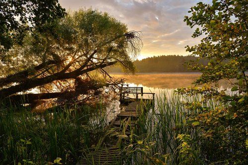 Morning at the lake