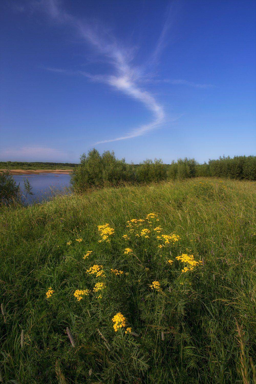 , Поташев Александр