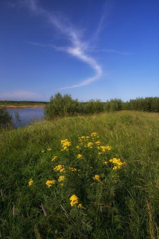 ****** фото превью