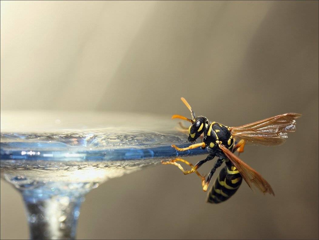 , Сергей Фудиненко