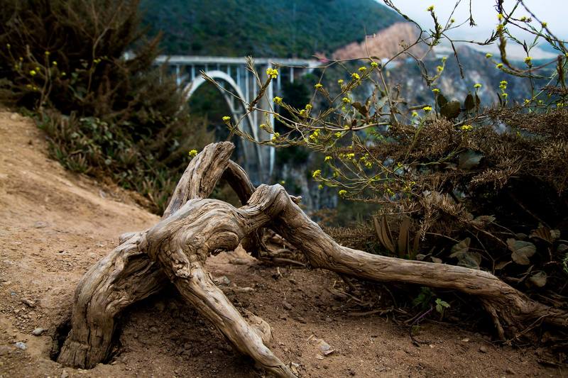 Bixby Bridge фото превью