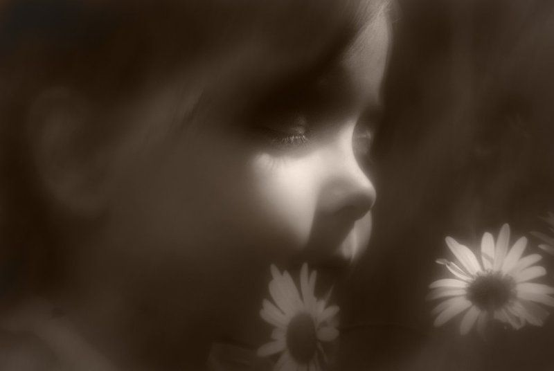 Гадание на ромашке фото превью