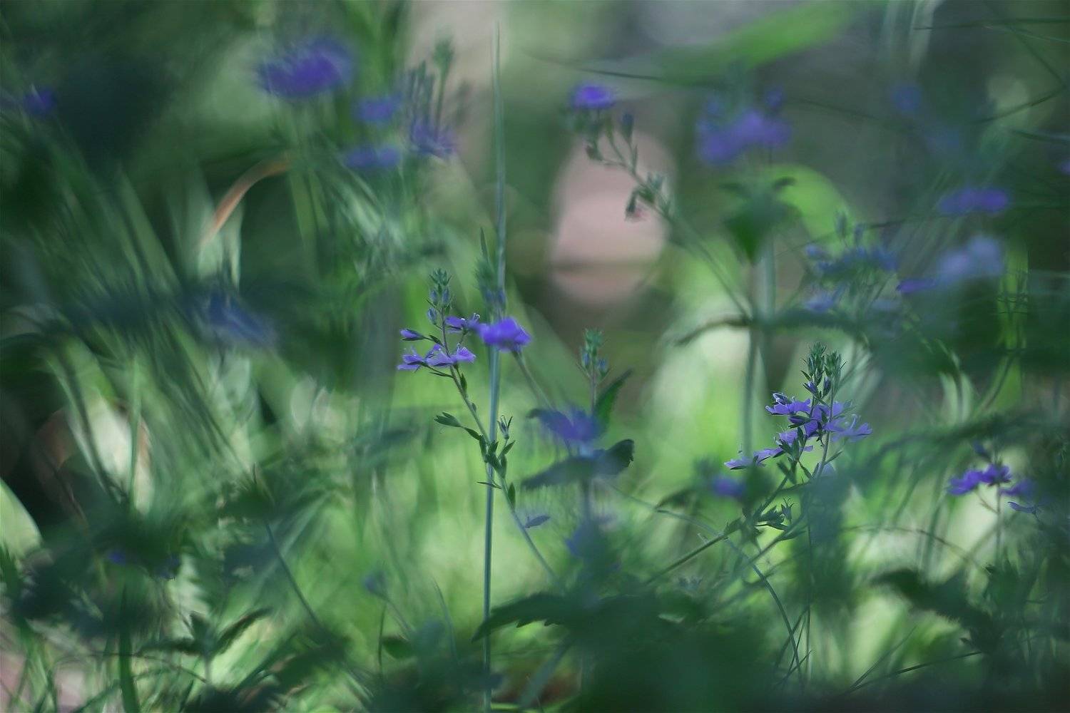 калейдоскоп, Эдуард Колобошников