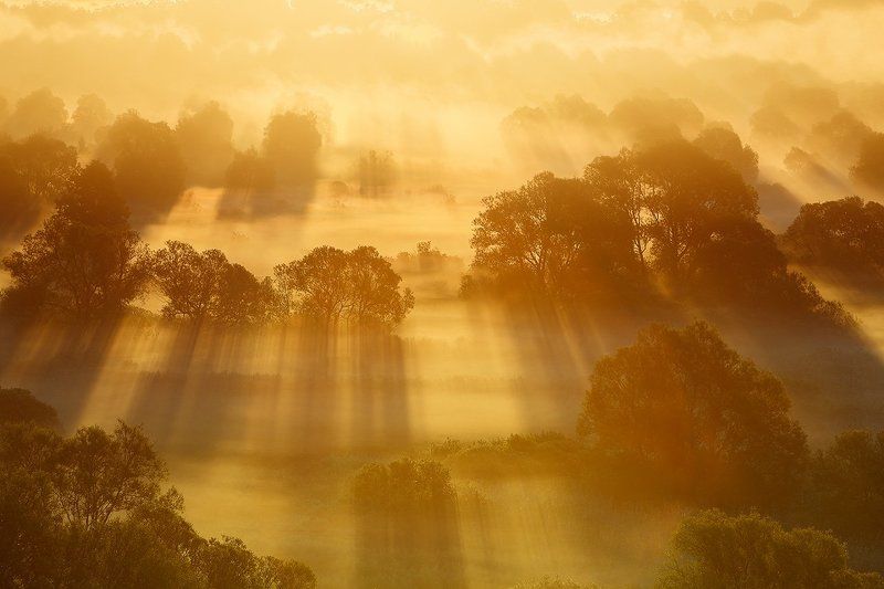 Золотой рассвет. фото превью