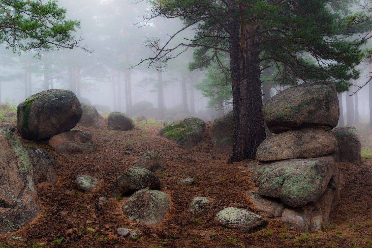 , Сергей Брагин
