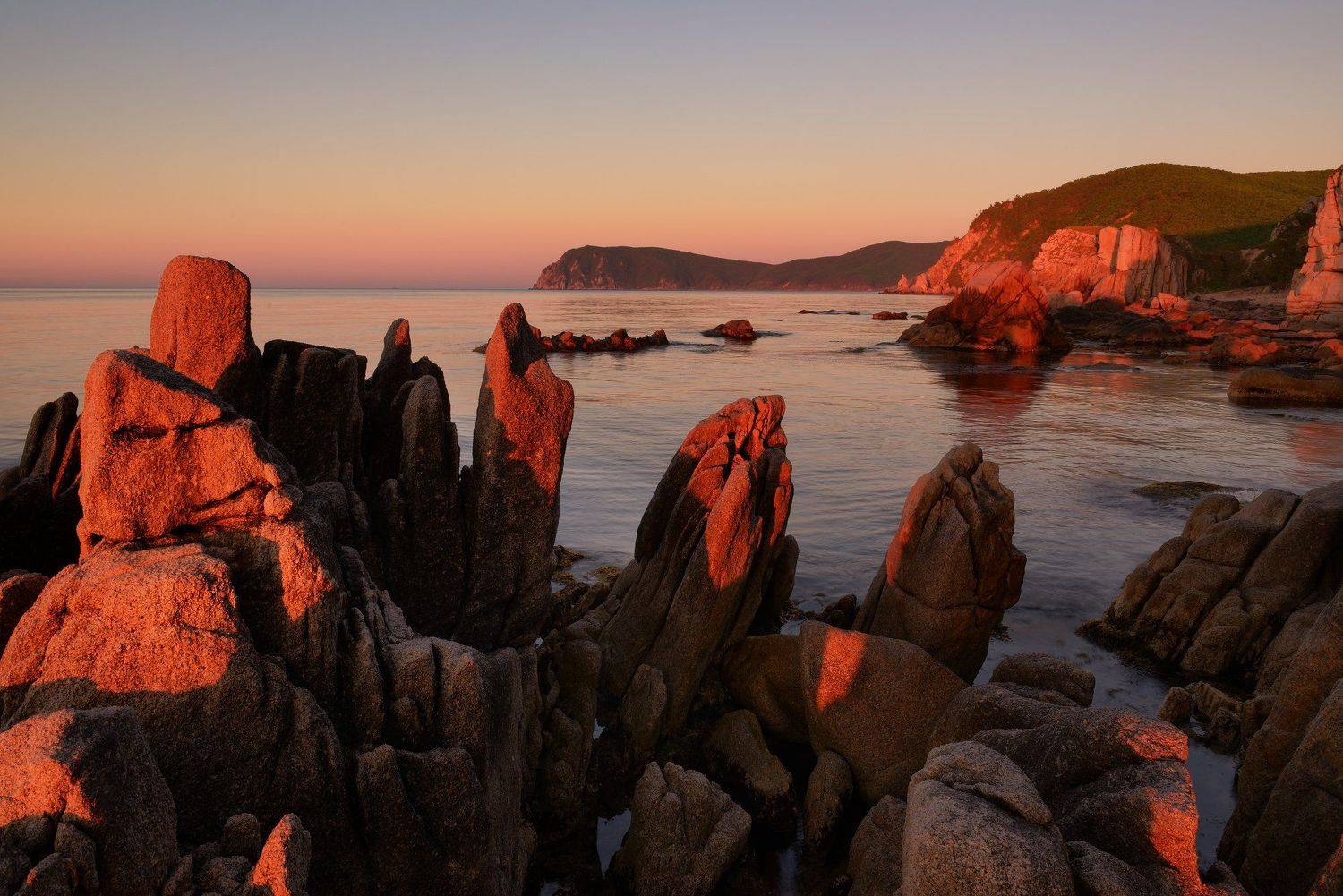 , Максим Евдокимов (www.wildphotorus.ru)