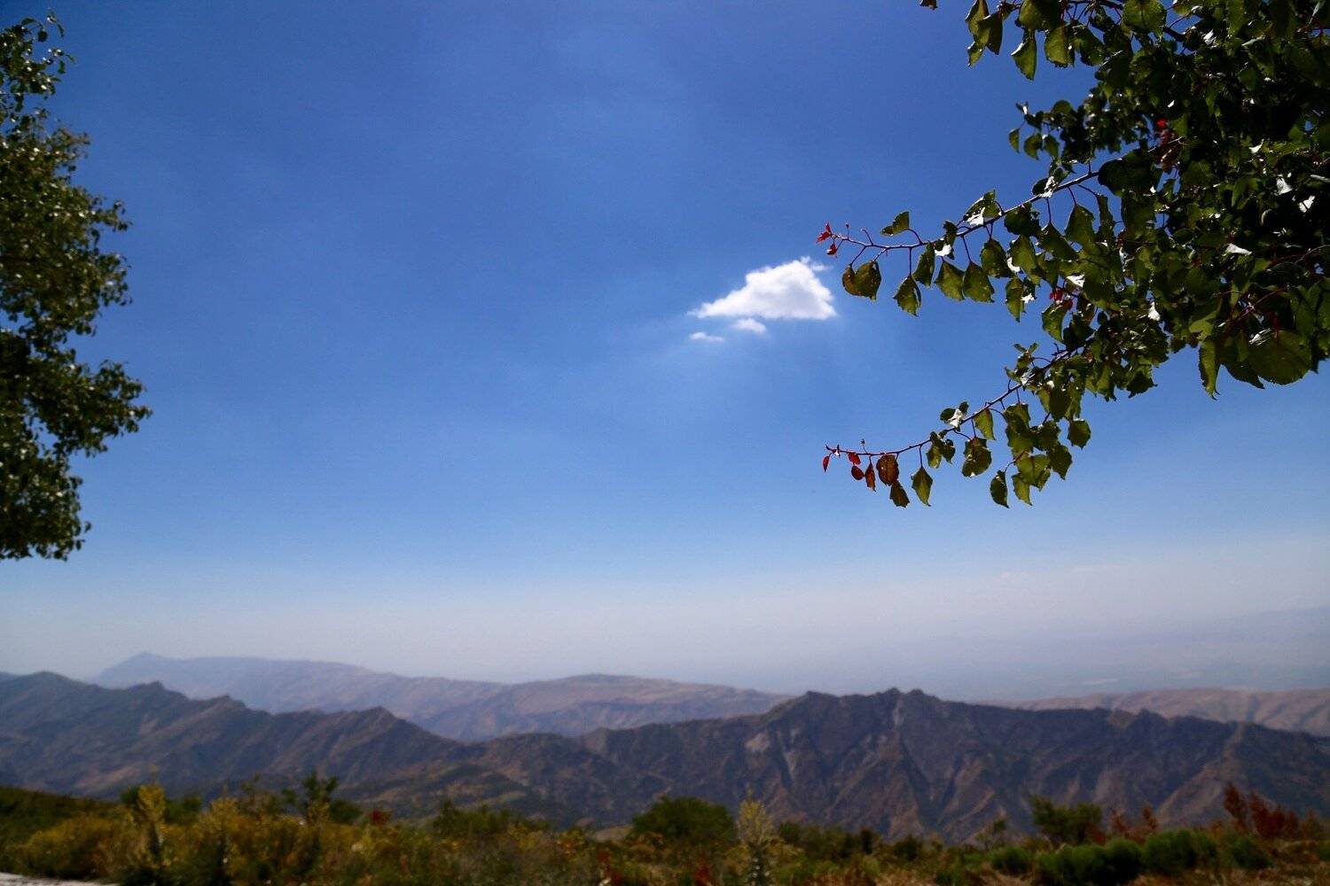 , Самадов Махди