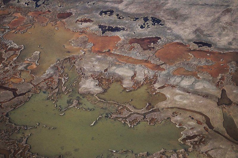 Текстуры тундры фото превью