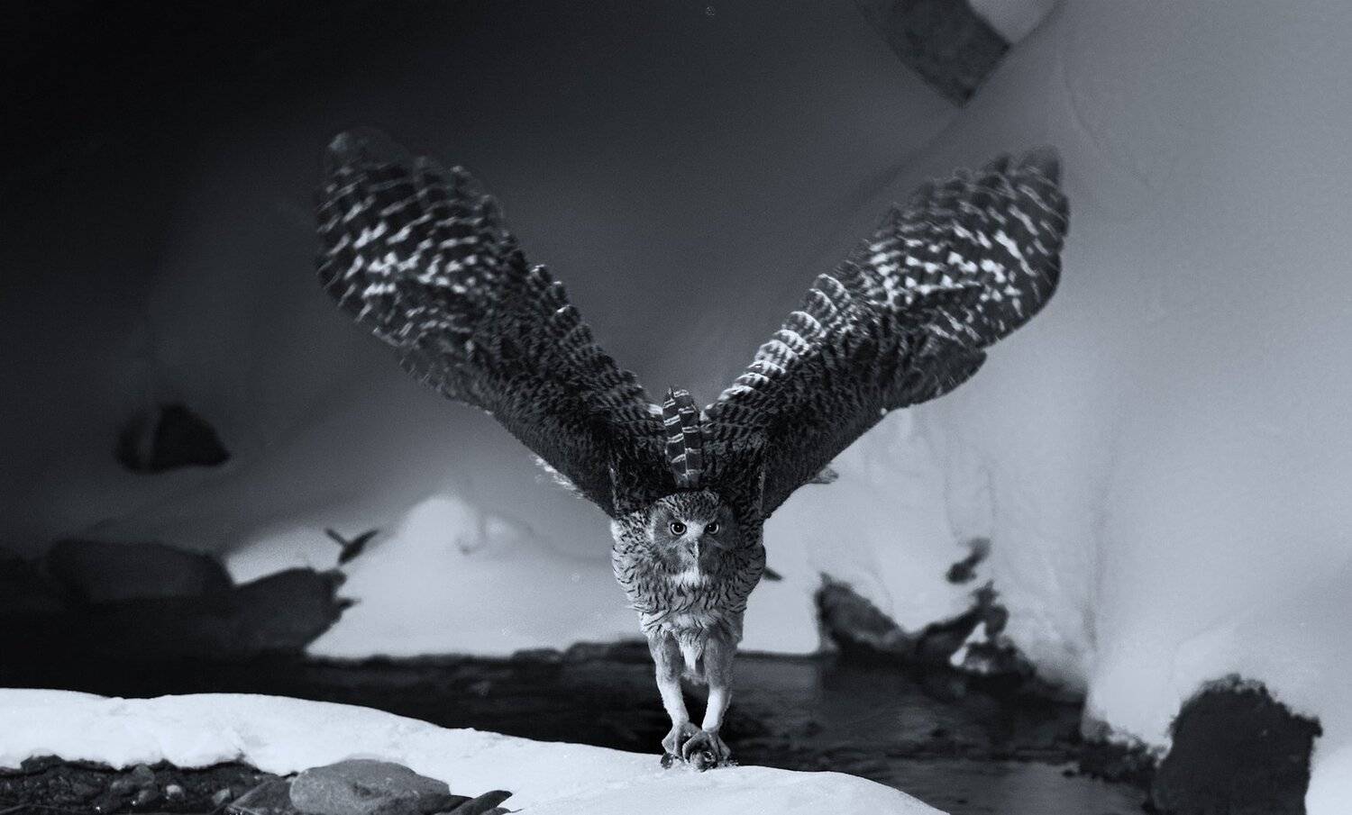 , suk eun kim