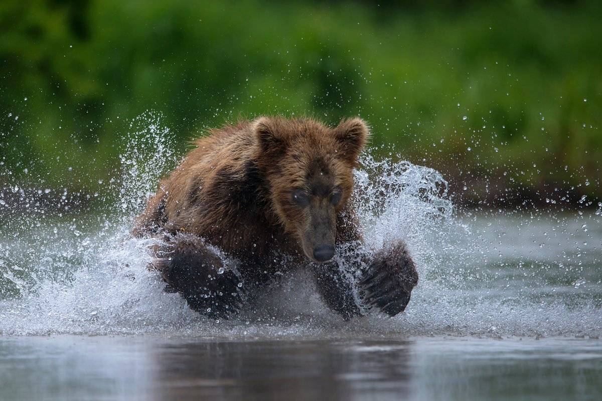 рыбалов, Александр Маркелов