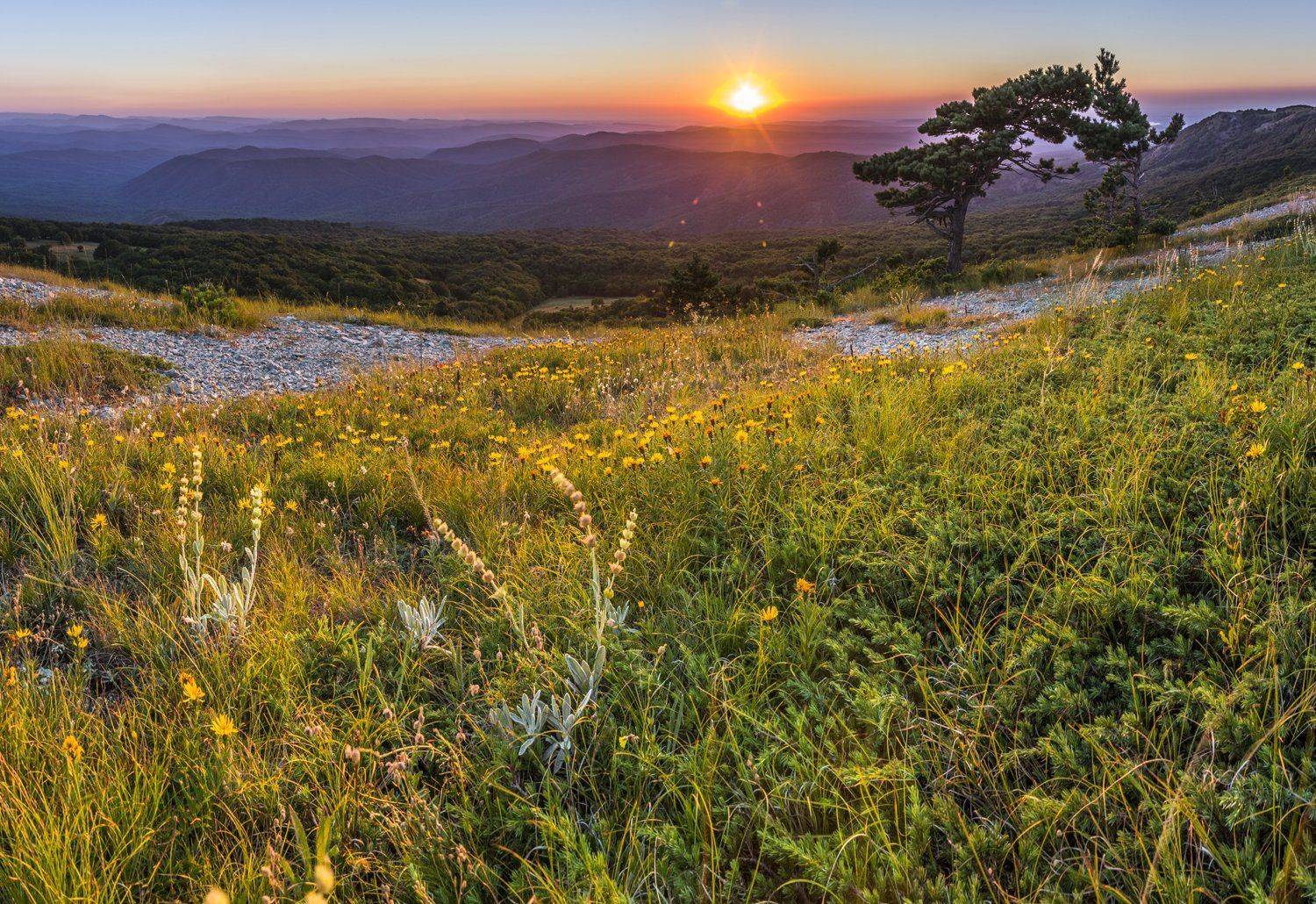 , Станислав Савицкий