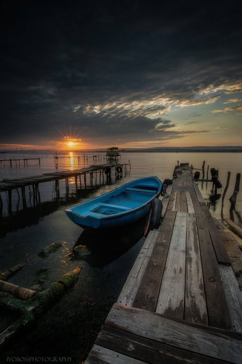 , Ivailo Bosev