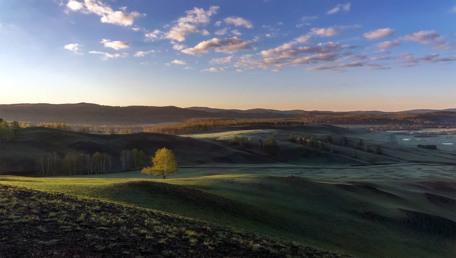 утро, рассвет, восход, туман, лучи, солнце, Леонид Максименко