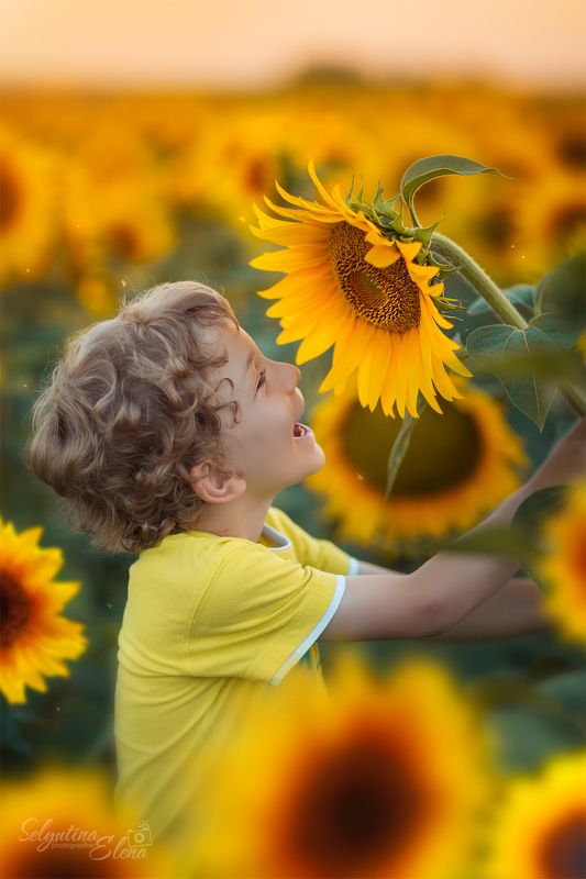 подсолнух, детское фото, детский фотограф, поля подсолнухов, sunflower, sunflowers field, children photography Дотянуться до солнца!  фото превью