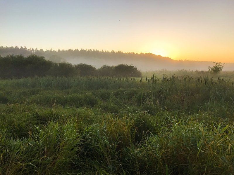Ранним утром (мобильное фото) фото превью
