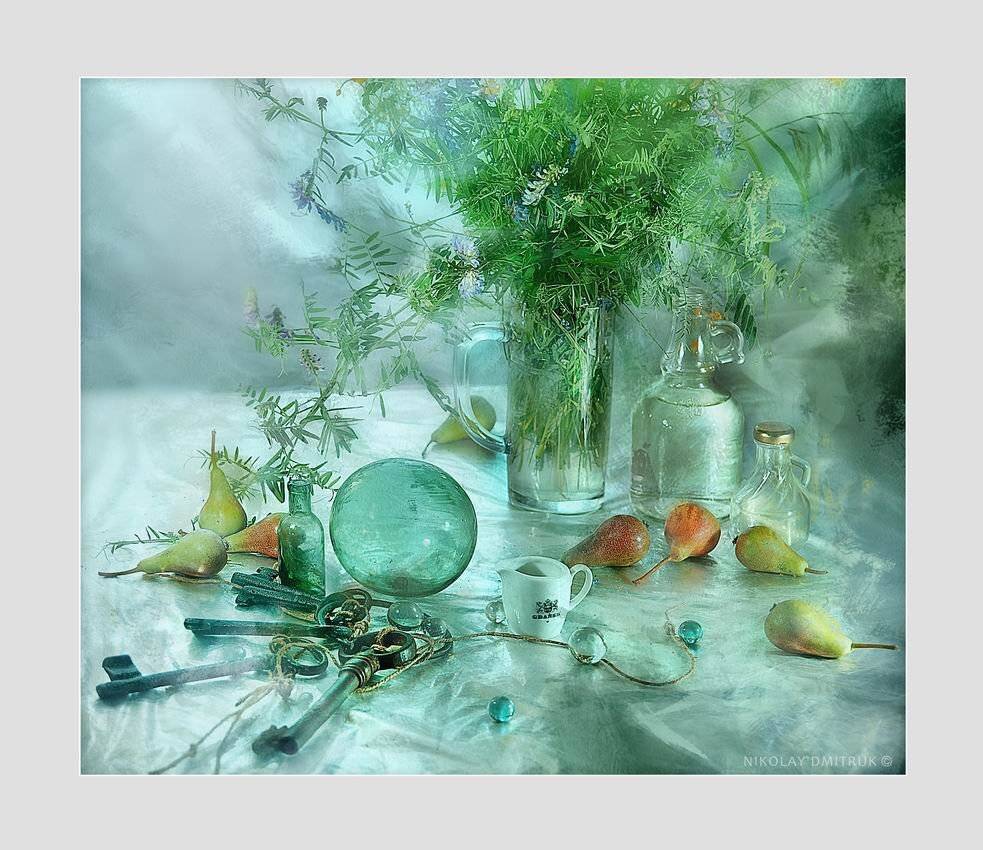 , николай дмитрук