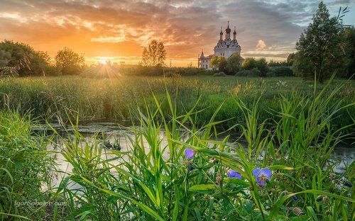 Тайнинское. Закат