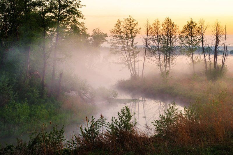 На рассвете фото превью