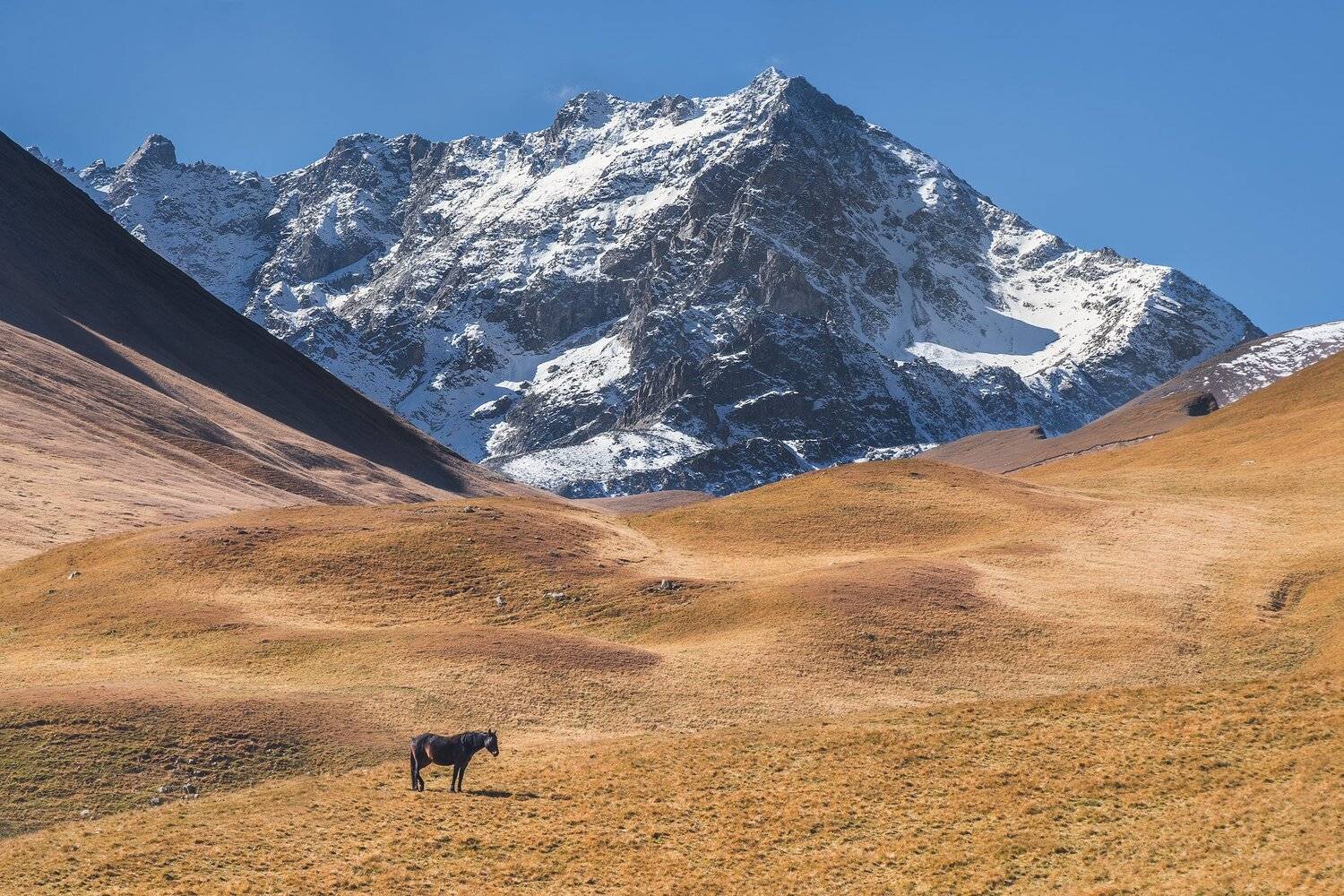 , Михаил Туркеев