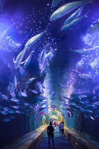 *Другой мир*