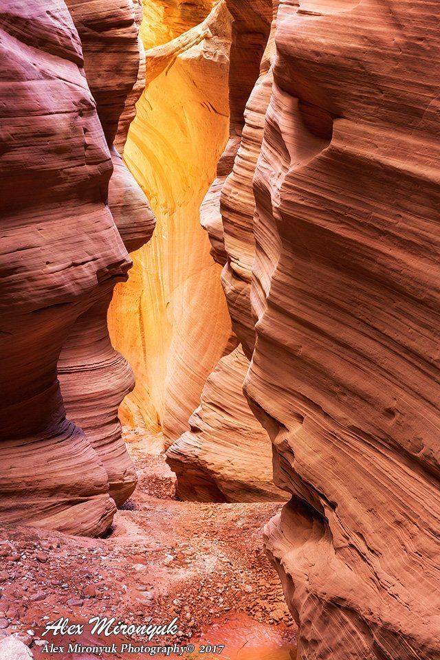 каньон, США, Юта, Аризона, юго-запад, путешествие, абстракция, пейзаж, свет, волны, лабиринт, пустыня, песчаник, геология, чудо, приключение, Alex Mironyuk