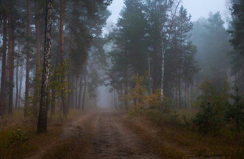 Остывшая осень