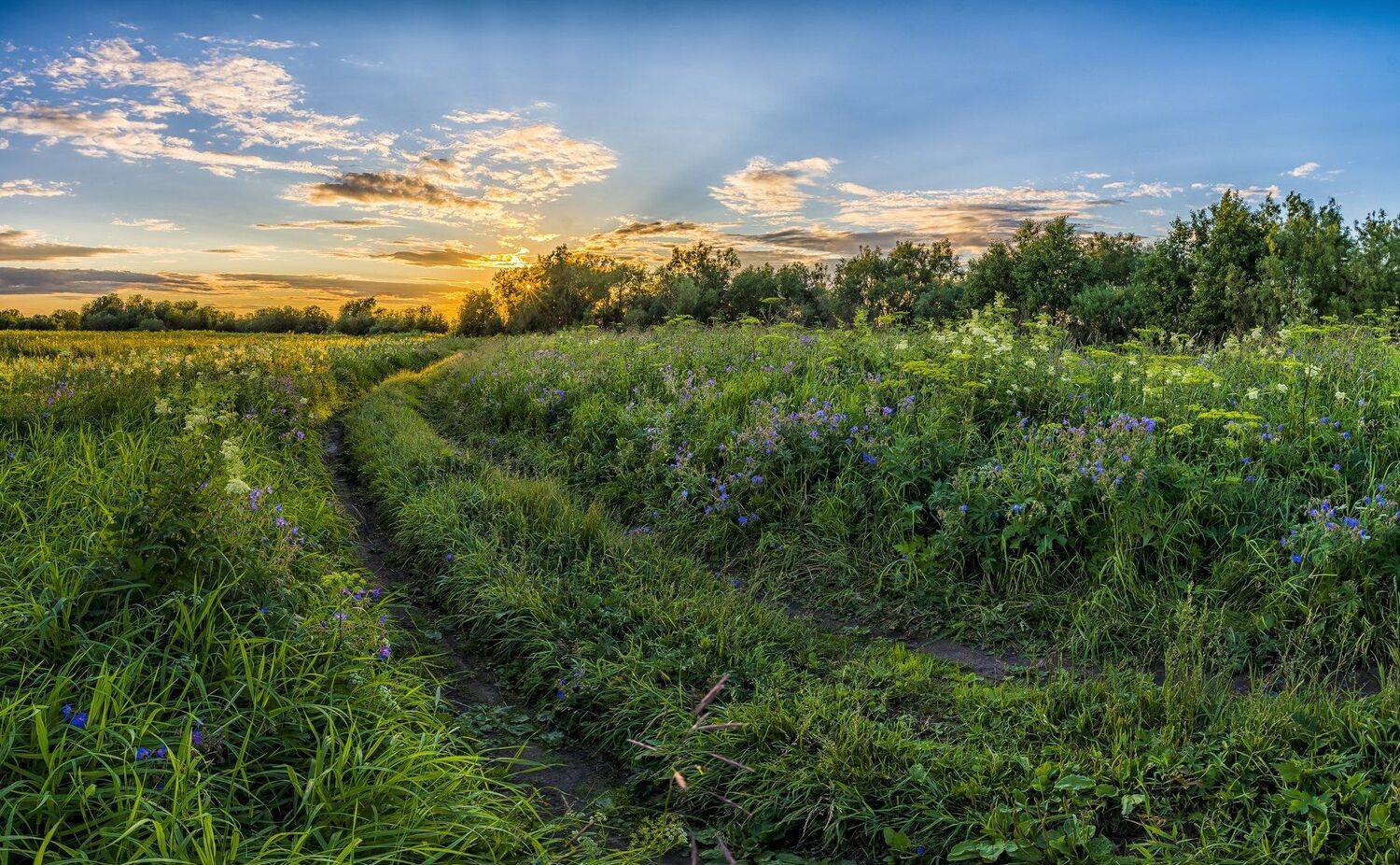 , Олег Авдеев