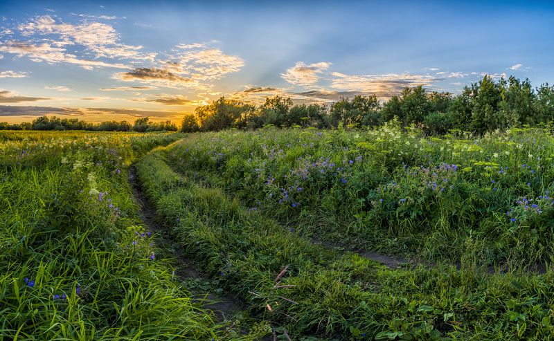 Дорожка к реке.. фото превью