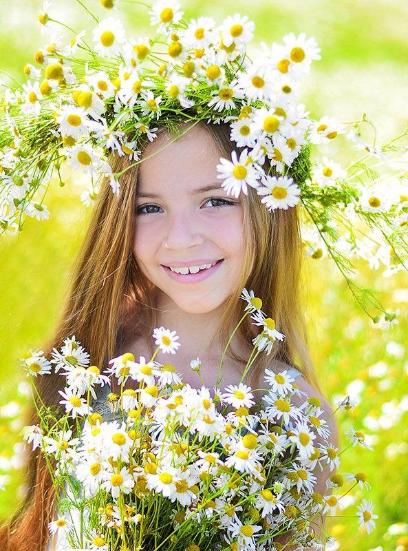 Ромашки фото превью