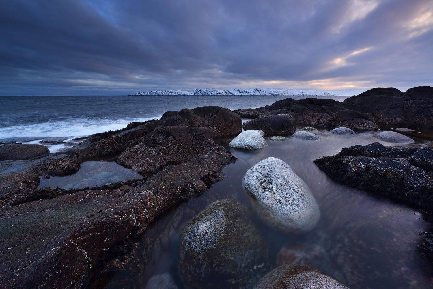 , Максим Евдокимов (www.wildphotorus.ru)