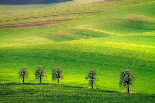 A Little Bit of Green.