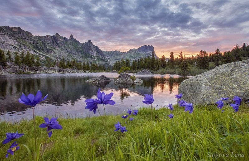 ергаки, красноярск, рассвет Цветы у озера фото превью