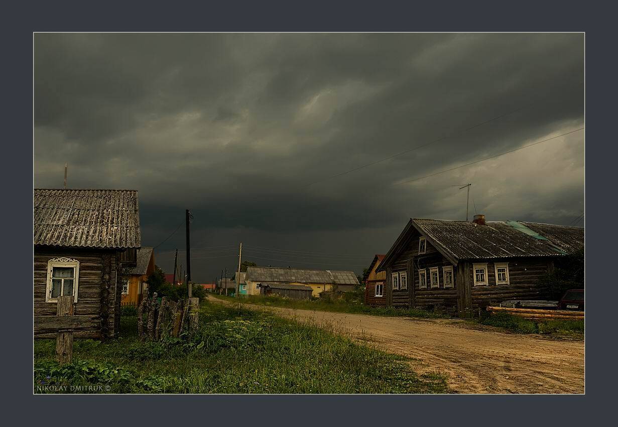 , николай дмитрук