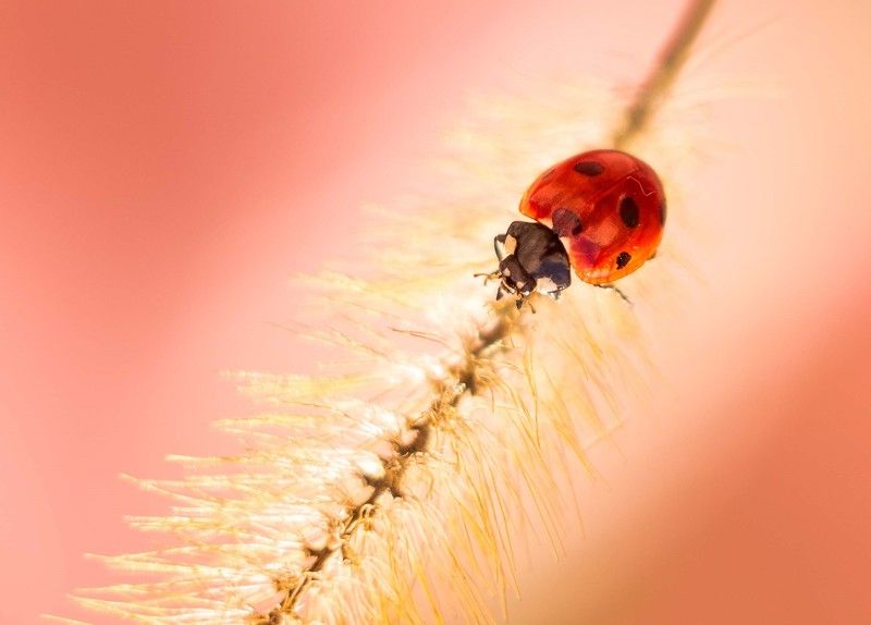 В путь фото превью