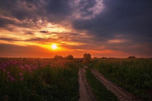 Туманное утро