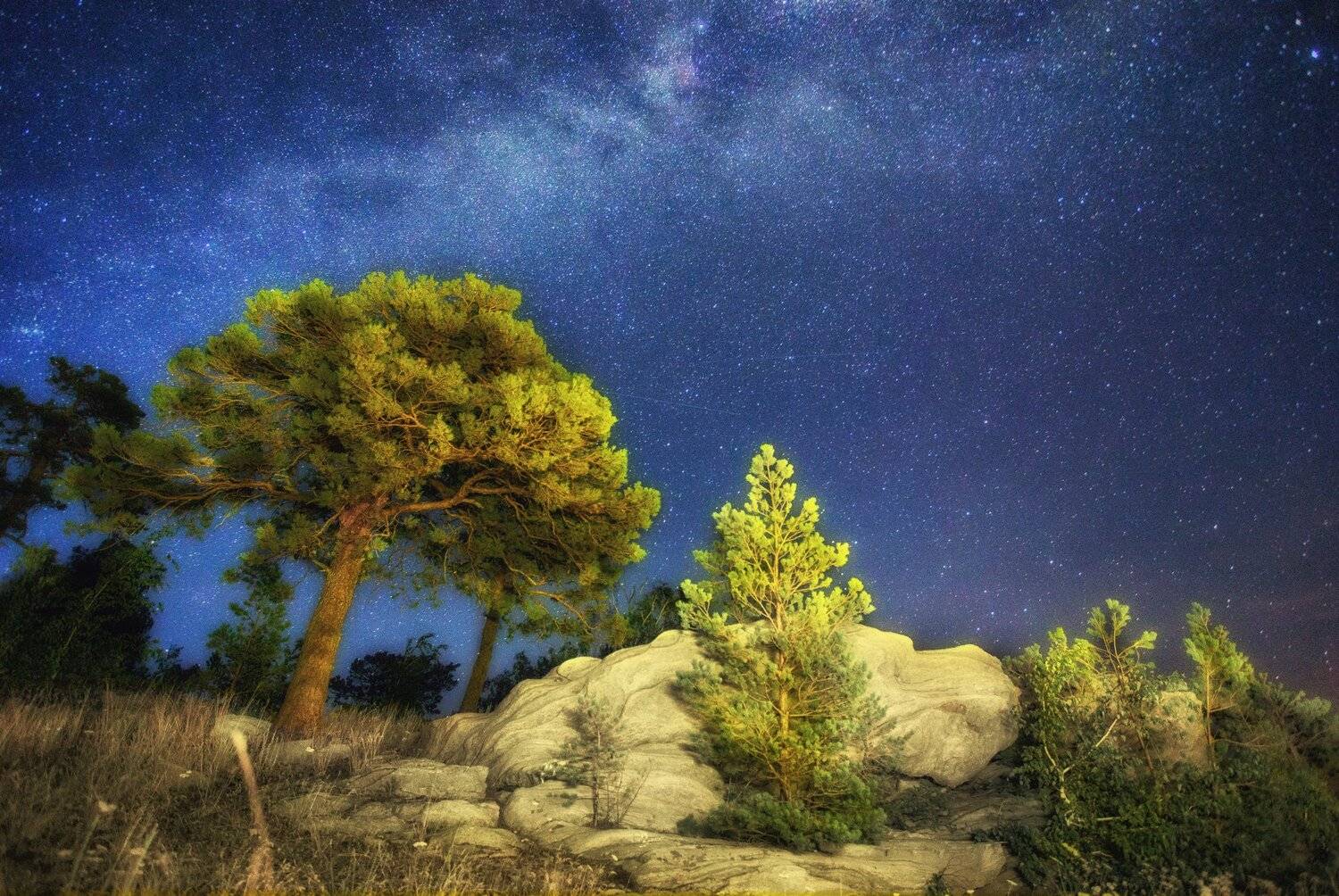 , Павел Сагайдак