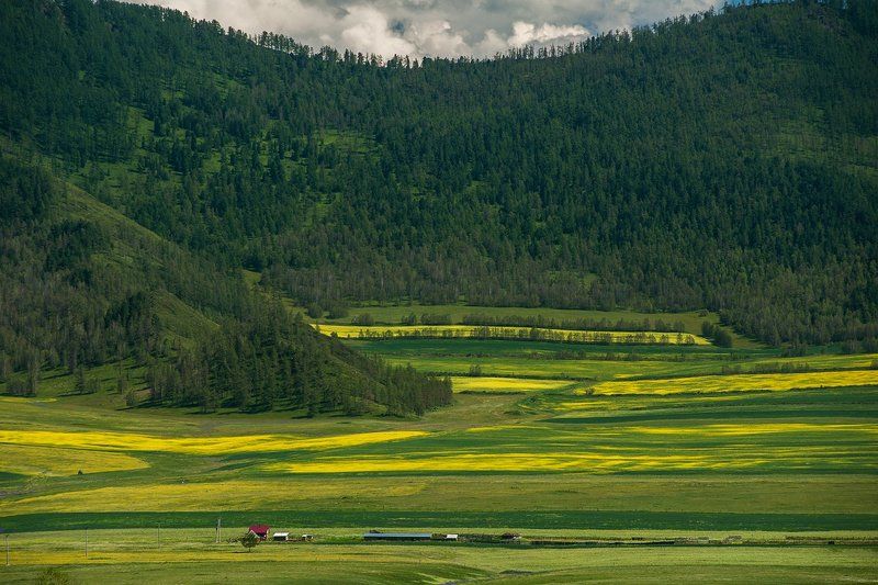 алтай, altai Разноцветный алтай фото превью