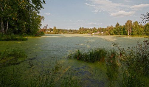 В поисках золотого ключика...