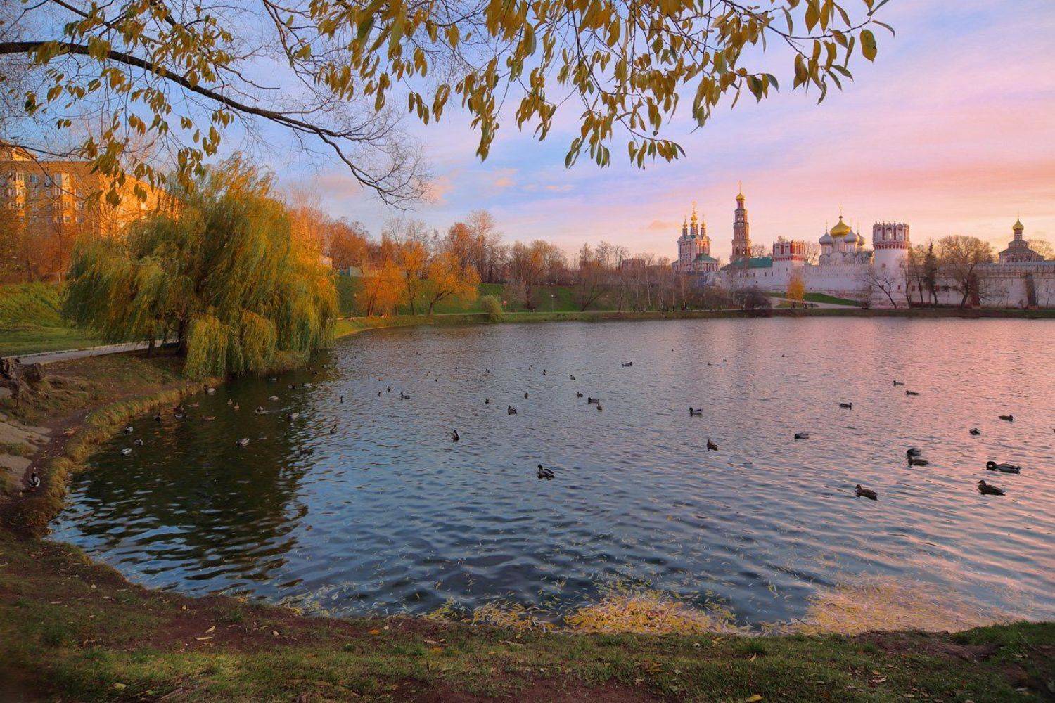москва, вечер, пруд, монастырь, новодевичий монастырь, утки, Виктор Климкин