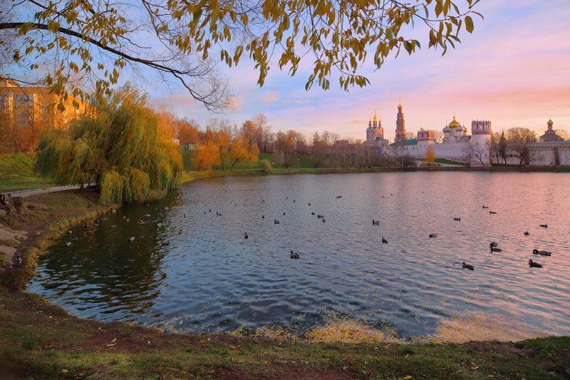 москва, вечер, пруд, монастырь, новодевичий монастырь, утки Вечер у Новодевичьего фото превью