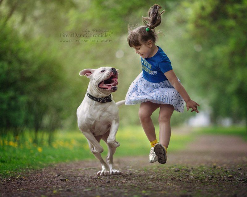 Crazy Games фото превью