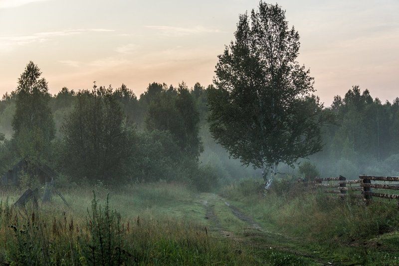 *** фото превью