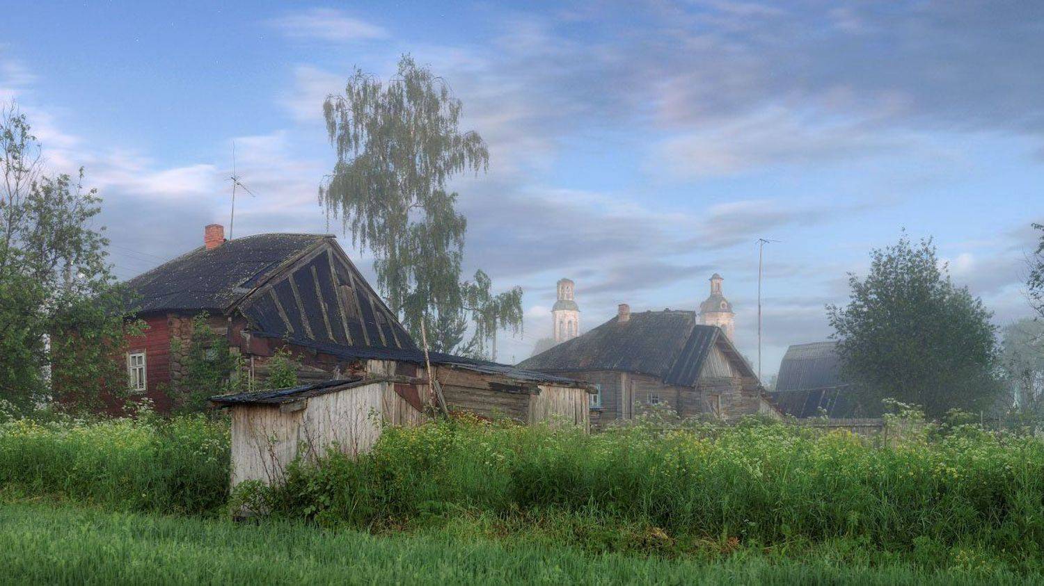 , Дмитрий Медянцев